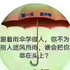 上蔡县金彪合作社的一亩田店铺