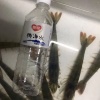 林明清的一亩田店铺