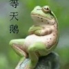 谢勇的一亩田店铺