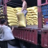范家米行的一亩田店铺