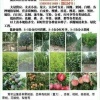 辛明升的一亩田店铺