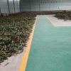 蜀汉兴枇杷叶加工销售的一亩田店铺