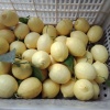 杨文毅的一亩田店铺