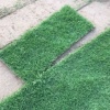 侯永的一亩田店铺