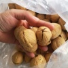 罗俊龙的一亩田店铺
