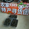 陈生蔬菜的一亩田店铺