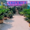董玄玄的一亩田店铺