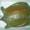 李玲玲的一亩田店铺