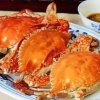 刘彦伟的一亩田店铺
