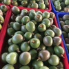 青岛急鲜蜂国际供应链管理有限公司的一亩田店铺