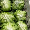 王玉霞的一亩田店铺