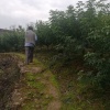 双山红包花椒种植专业合作社的一亩田店铺