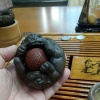 通许县永辉种植合作社的一亩田店铺