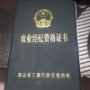 湖南大棚西瓜基地直供小黎的一亩田店铺