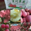 超越果品有限公司的一亩田店铺