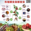 闵福水的一亩田店铺