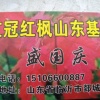 郯城县华俊家庭农场的一亩田店铺
