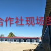 瑞林蔬菜的一亩田店铺