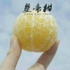 黄菊妹的一亩田店铺