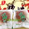 支飞的一亩田店铺