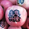 陈新超的一亩田店铺
