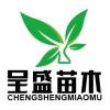呈盛苗木的一亩田店铺