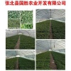 张北县国胜农业开发有限公司的一亩田店铺