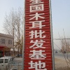 康惠商行的一亩田店铺