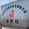 东港市合隆乡胜龙草莓合作社的一亩田店铺
