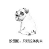 张桂英的一亩田店铺