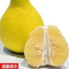 郑莉莉的一亩田店铺