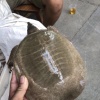 易道浓的一亩田店铺