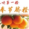周义平的一亩田店铺