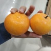 廖联柳的一亩田店铺