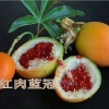 梁春明的一亩田店铺