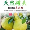 张平的一亩田店铺