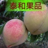 泰和果品产地批发的一亩田店铺