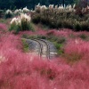 豪哲水生植物有限公司的一亩田店铺