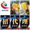 陶剑林的一亩田店铺