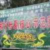 春阳农业的一亩田店铺