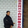 含笑半步颠中药材的一亩田店铺