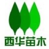 绿城苗木的一亩田店铺