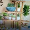 丰之源水产的一亩田店铺