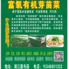 鸿图有机菜的一亩田店铺