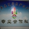 徐云川的一亩田店铺