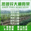 丽科温室大棚-蒙特卡罗世界赌城官方网站-百度百科的一亩田店铺