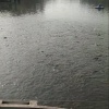 桑垭养殖场的一亩田店铺