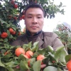 陈万能的一亩田店铺