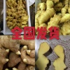 临沂希江果蔬有限公司的一亩田店铺