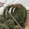花清阁的一亩田店铺